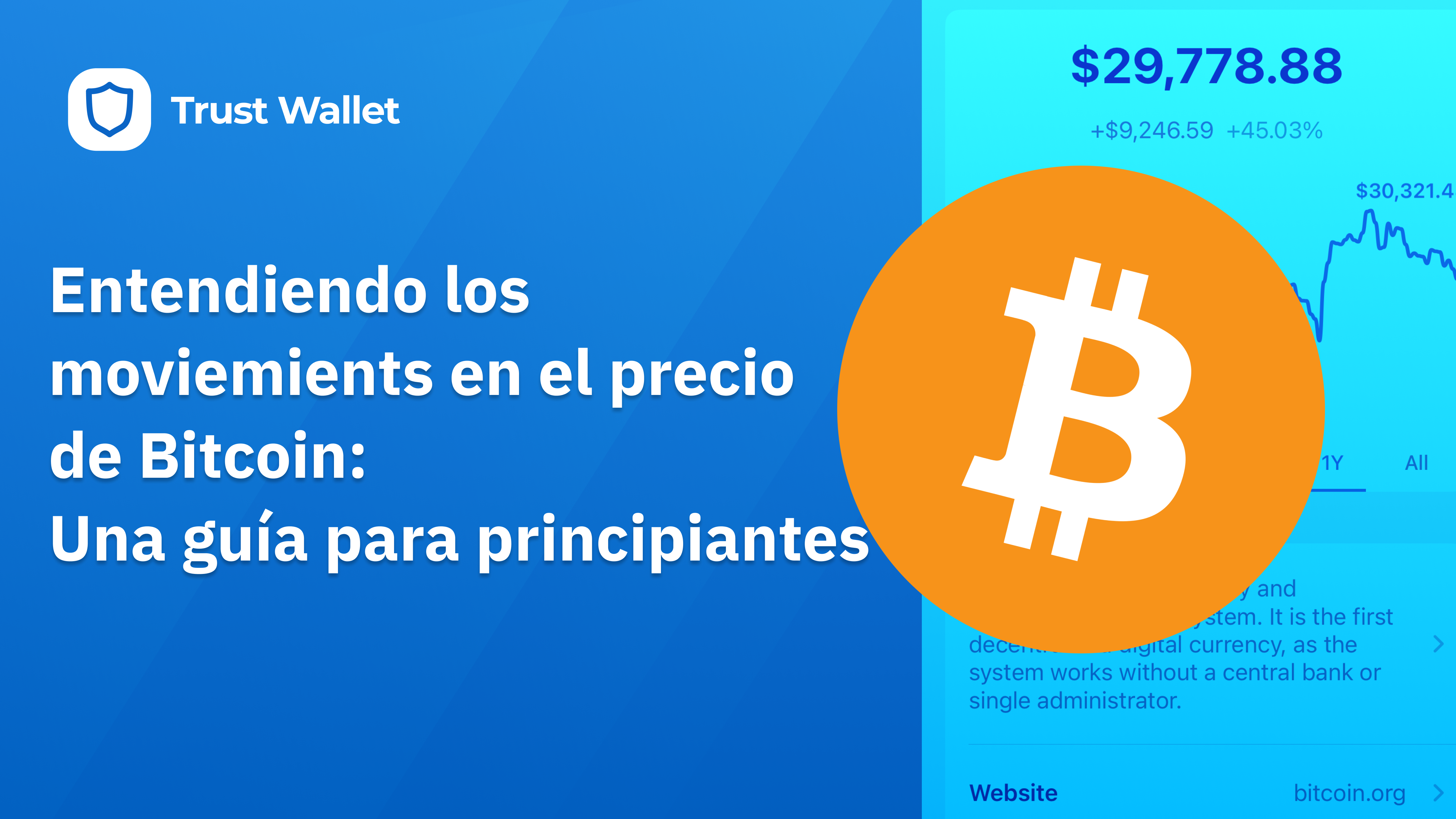Entendiendo los grandes movimientos del precio de bitcoin: una guía para  principiantes | Trust