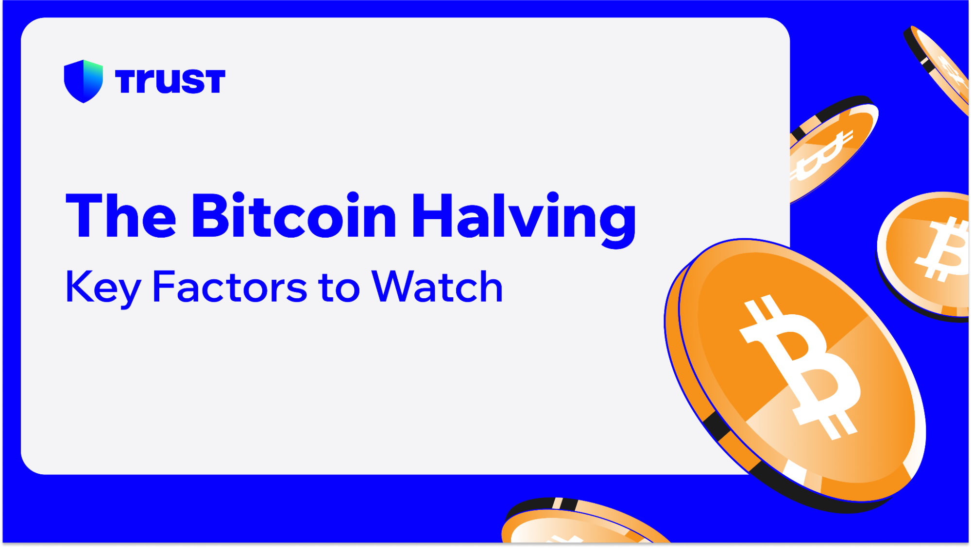 The Bitcoin Halving: Key Factors to Watch | Trust