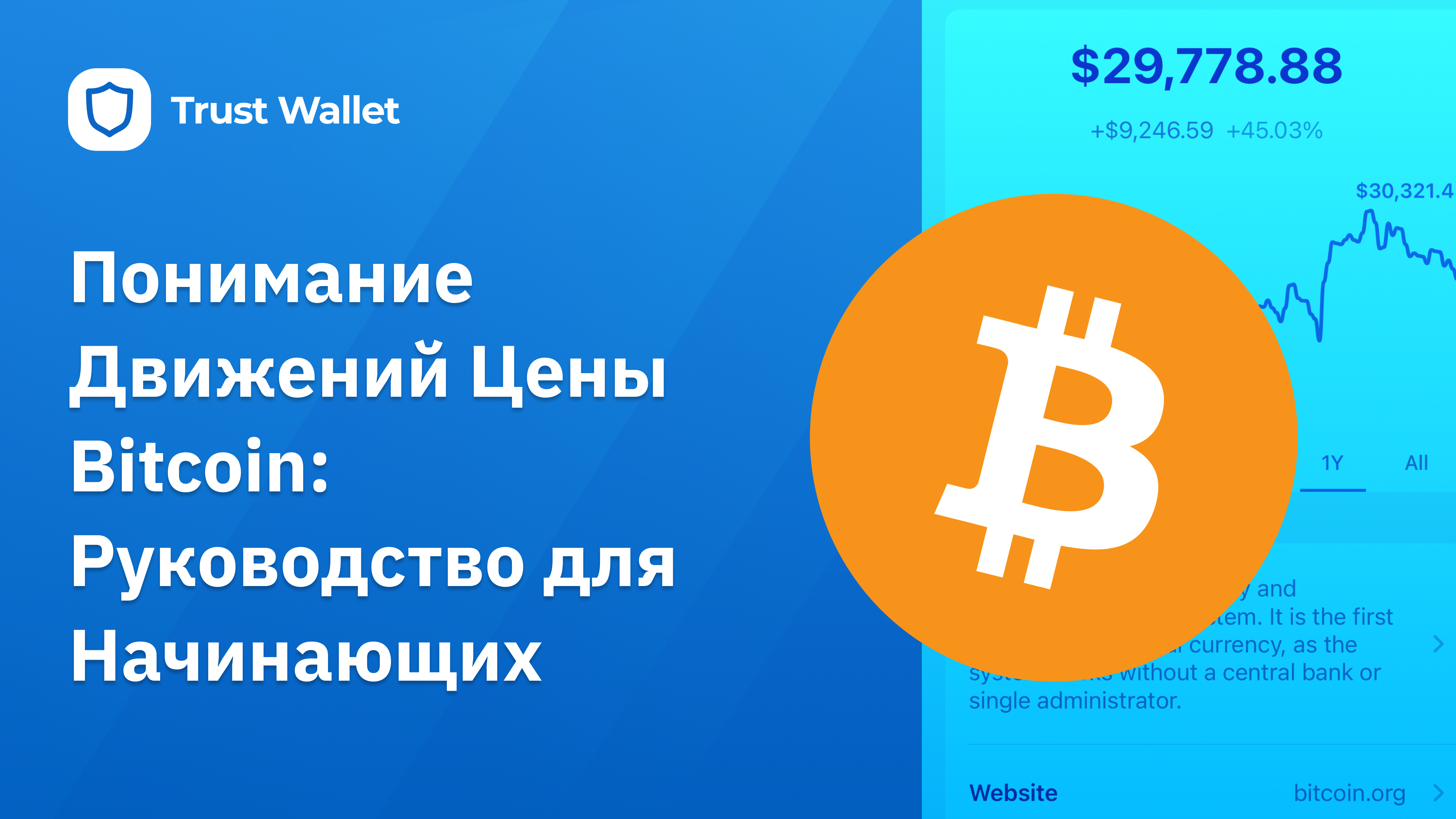Понимание основных движений цены биткоина: руководство для начинающих |  Trust