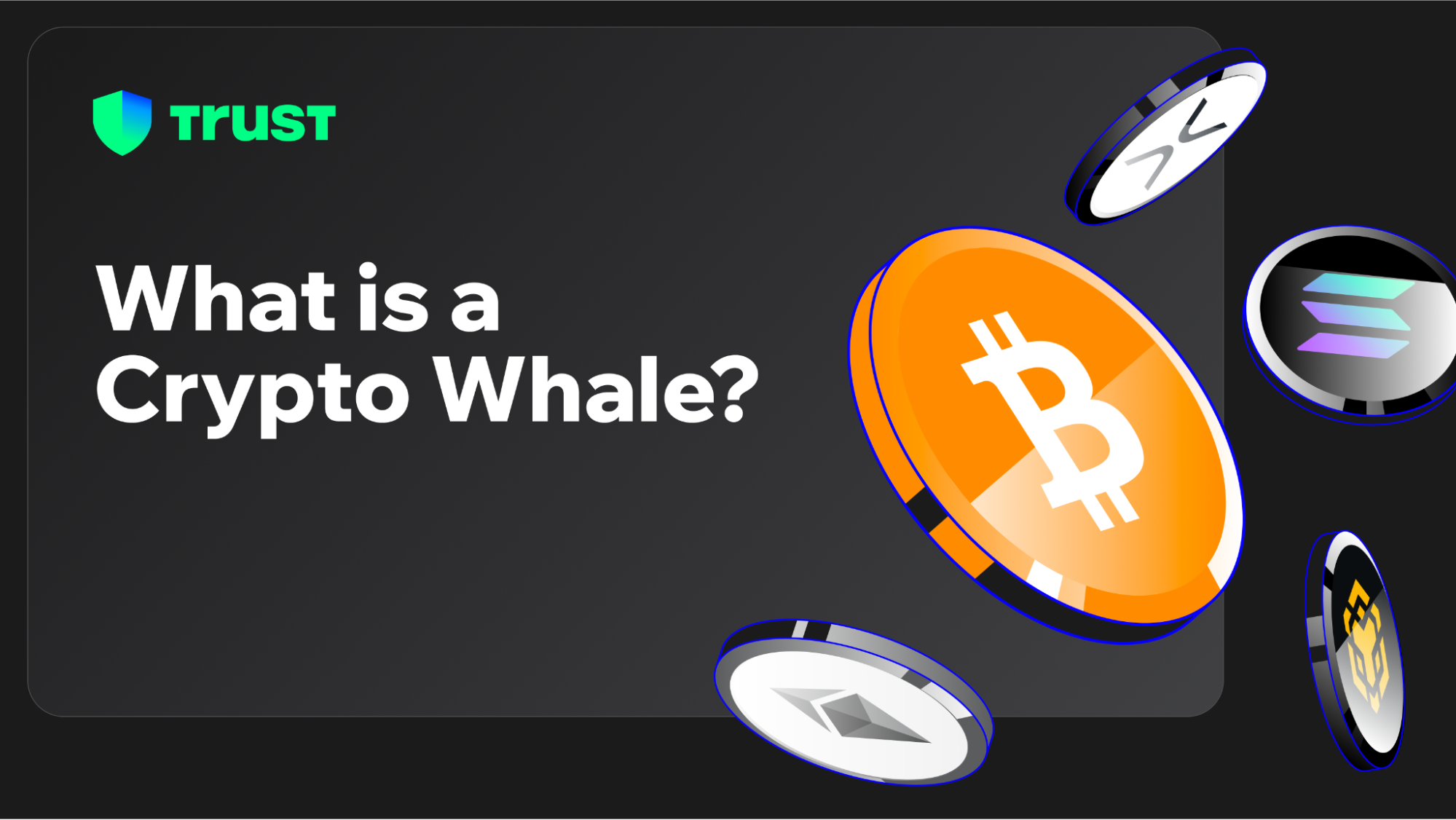 What is a Crypto Whale? | Trust